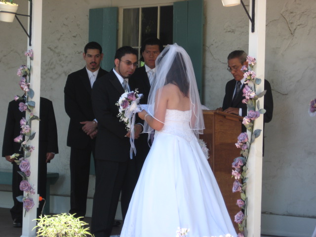 617x456 pixels (93K)